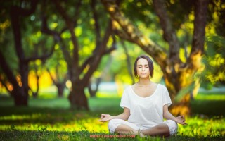 178体育直播-法甲比赛数据统计及体育竞技表现趋势分析